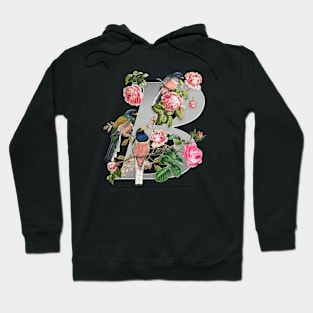 balance - colorful birds & vintage flowers overlap a chrome text. Hoodie